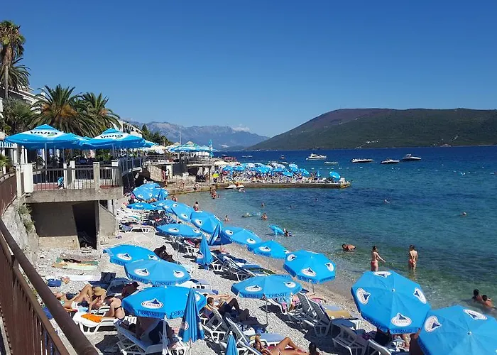 Apartment Royal Savina