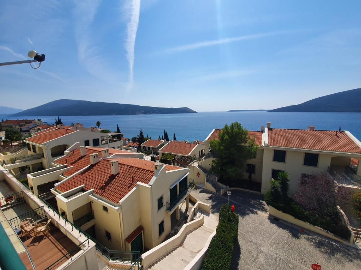 Royal Savina Daire